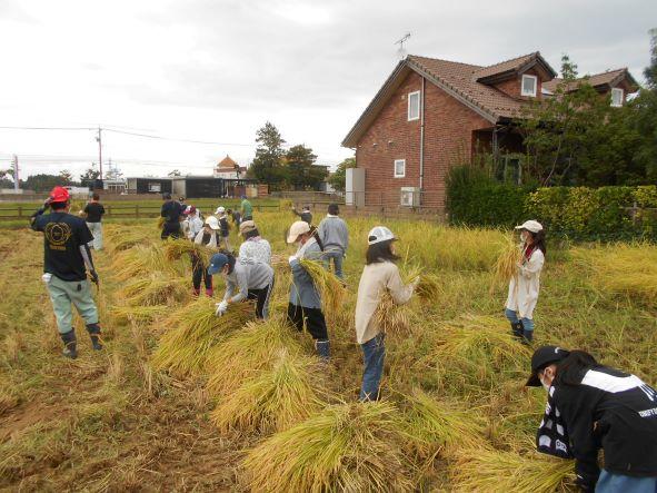 小松市立東陵小学校 -